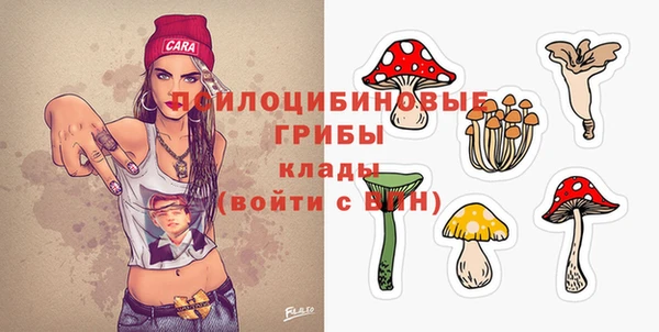 крисы Струнино