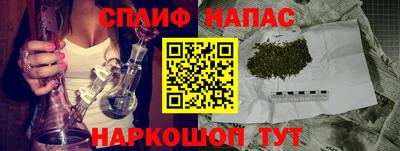 Альфа ПВП Гагарин