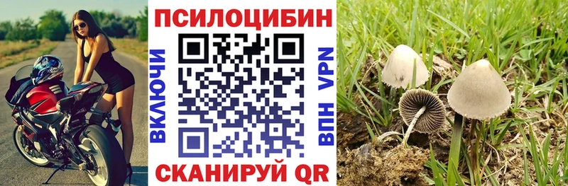 ОМГ ОМГ ONION  где купить   Благовещенск  Псилоцибиновые грибы ЛСД 