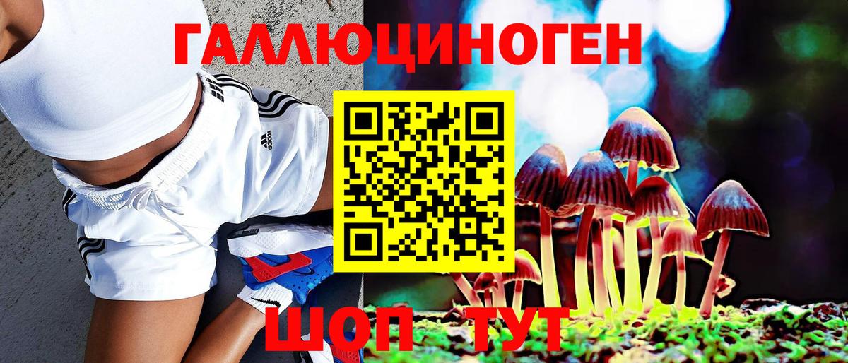 Псилоцибиновые грибы ЛСД Благовещенск